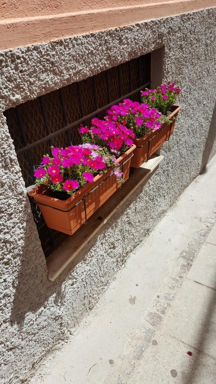 Bed and Breakfast Al Sale Cagliari Exterior foto