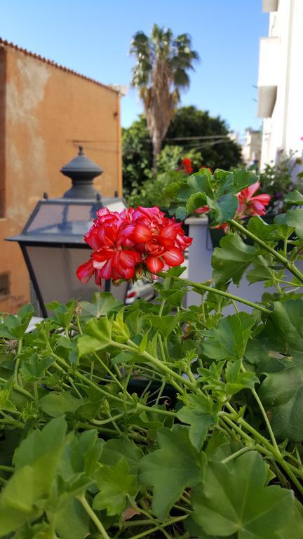 Bed and Breakfast Al Sale Cagliari Exterior foto